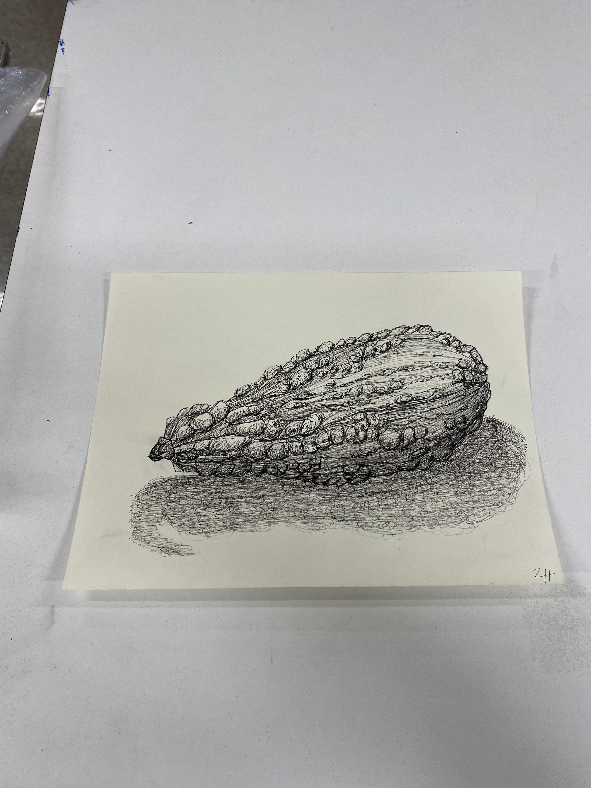 Gourd (2022) — Medium, dimensions, 2022